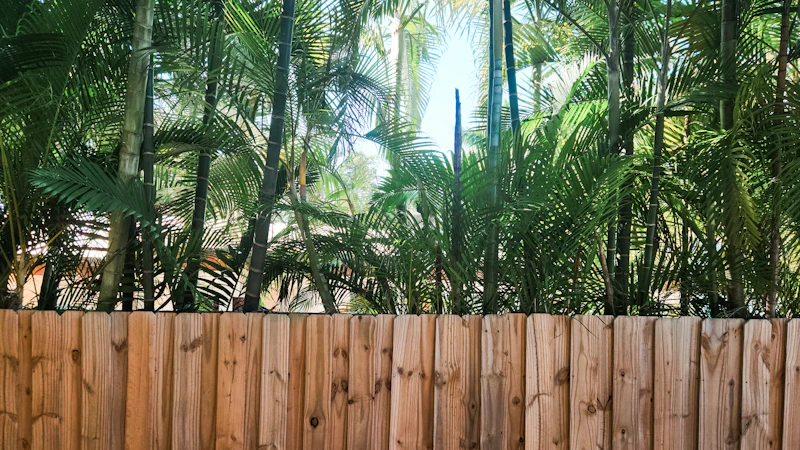 A horizontal wooden privacy fence in front of tall palm trees