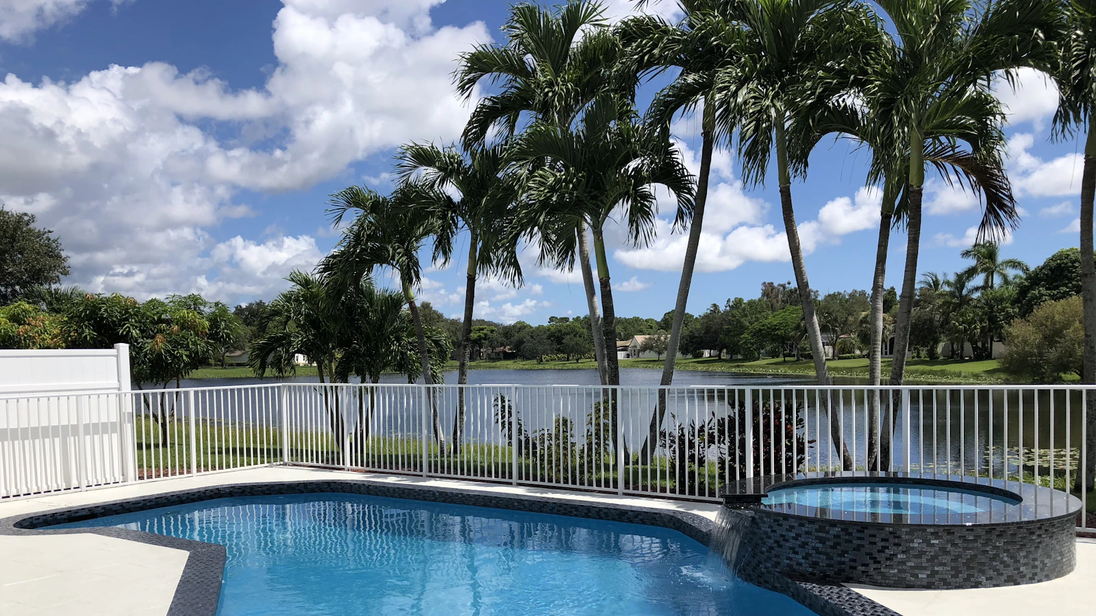 A backyard swimming pool and spa with a white fence and tall palm trees