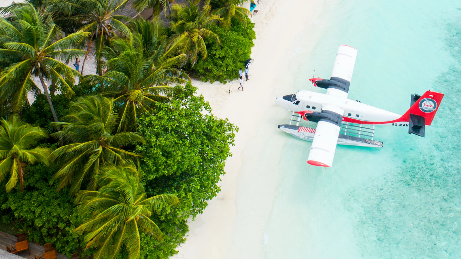 Aerial view of a seaplane parked on a white-sand shore beside tropical palm trees